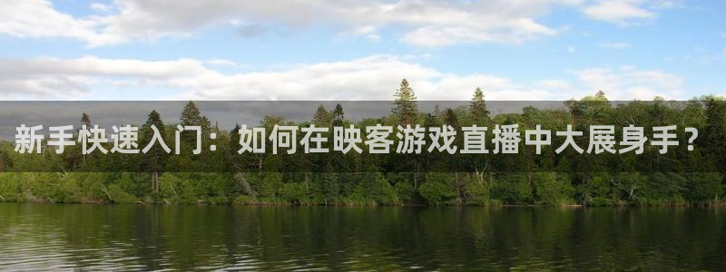 9255tv直播nba在线直播：新手快速入门：如何在映客游戏直播中大展身手？