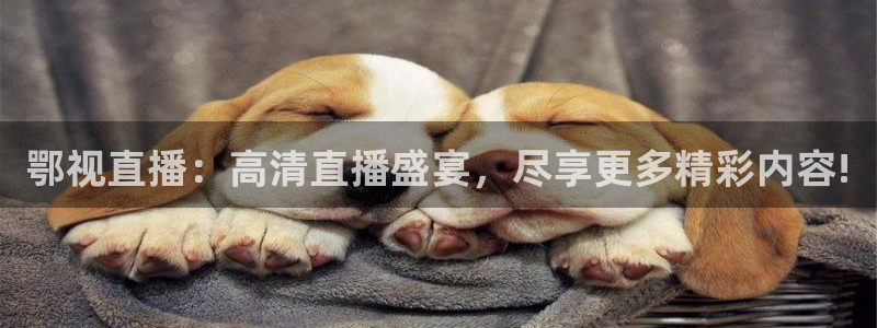 9255tv直播nba在线观看：鄂视直播：高清直播盛宴，尽享更多精彩内容!