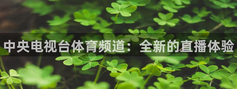 9255tv直播nba在线观看：中央电视台体育频道：全新的直播体验