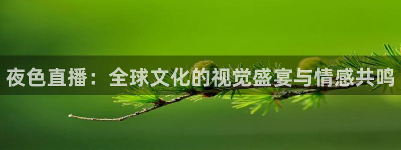 9255tv直播nba在线观看：夜色直播：全球文化的视觉盛宴与情感共鸣