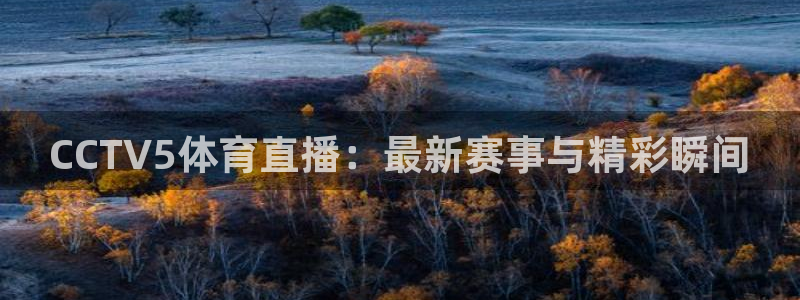 9255tv直播无插件nba：CCTV5体育直播：最新赛事与精彩瞬间