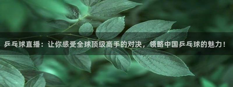 9255tv直播nba在线直播：乒乓球直播：让你感受全球顶级高手的对决，领略中国乒乓球的魅力！