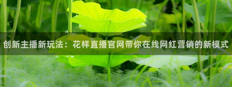 9255tv直播nba在线直播：创新主播新玩法：花样直播官网带你在线网红营销的新模式
