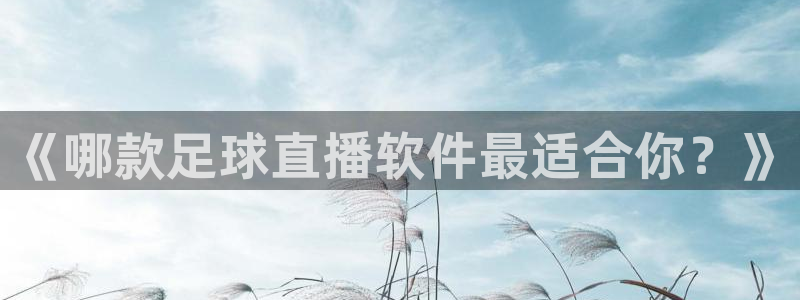 9255tv直播无插件nba：《哪款足球直播软件最适合你？》