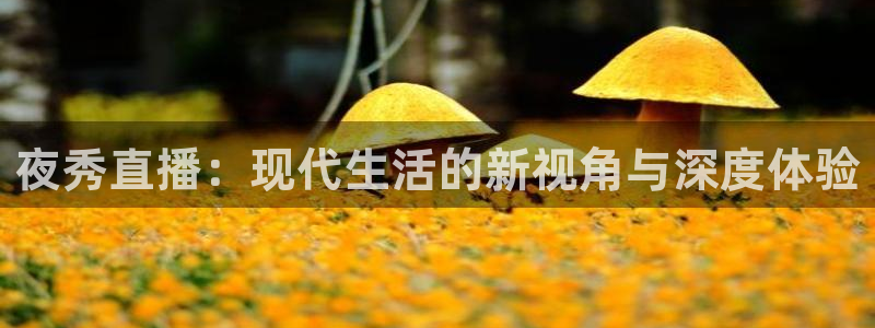 9255tv直播nba在线观看：夜秀直播：现代生活的新视角与深度体验
