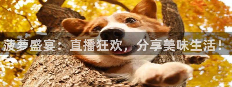 9255tv直播nba在线直播：菠萝盛宴：直播狂欢，分享美味生活！