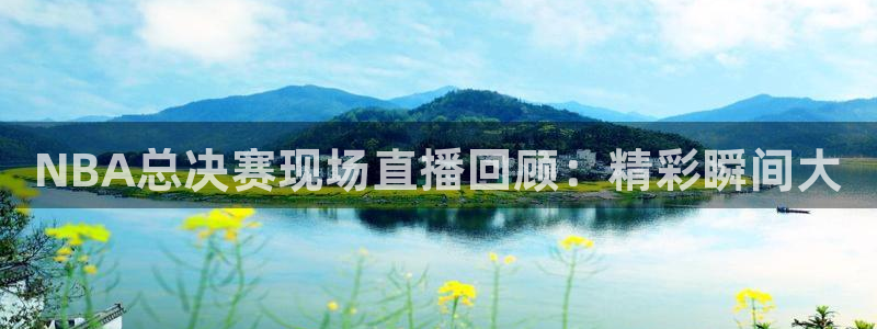 9255tv直播无插件nba：NBA总决赛现场直播回顾：精彩瞬间大